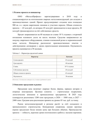 Страница 5: Резюме проекта и инициатор