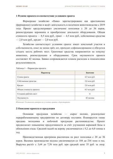 Страница 5: Резюме проекта и соответствие условиям…
